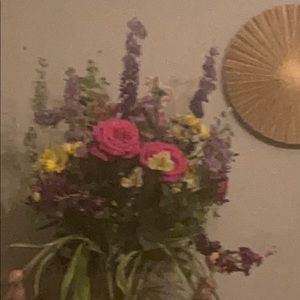 Meet your Posher, Tara